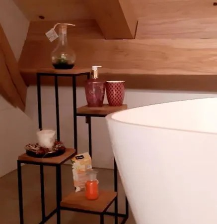 Haus Hof 30 Apartment Schwarzenberg im Bregenzerwald