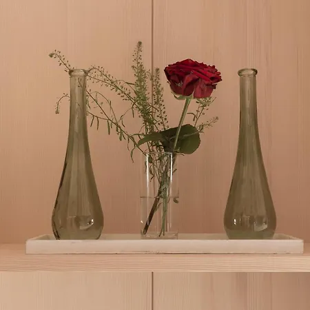 Haus Hof 30 Apartment